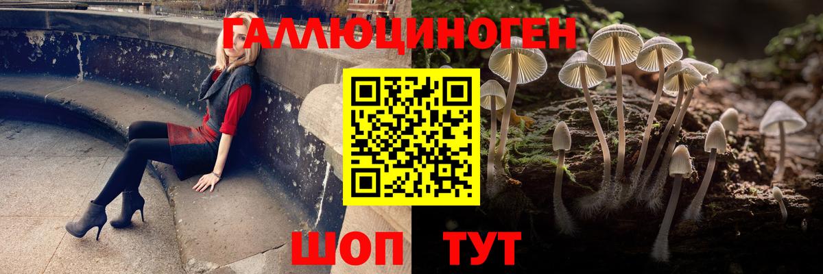 Галлюциногенные грибы MAGIC MUSHROOMS Свободный